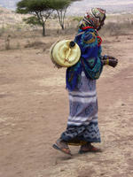 Carrying water.